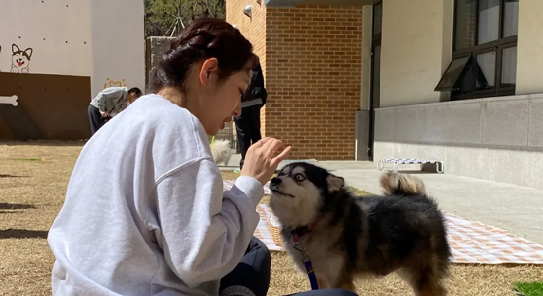 경기도, 반려동물 책임문화 확산하고 도내 기업 판로 넓힌다