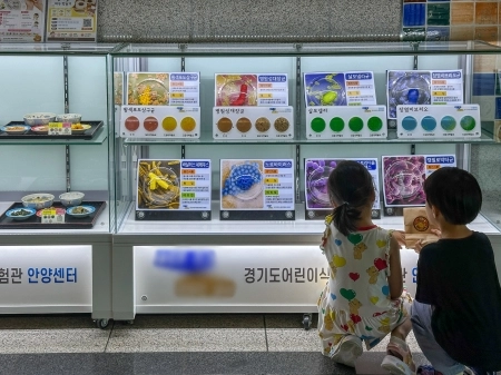 놀이로 배우는 올바른 식습관, 경기도 어린이 식품안전체험관 안양센터
