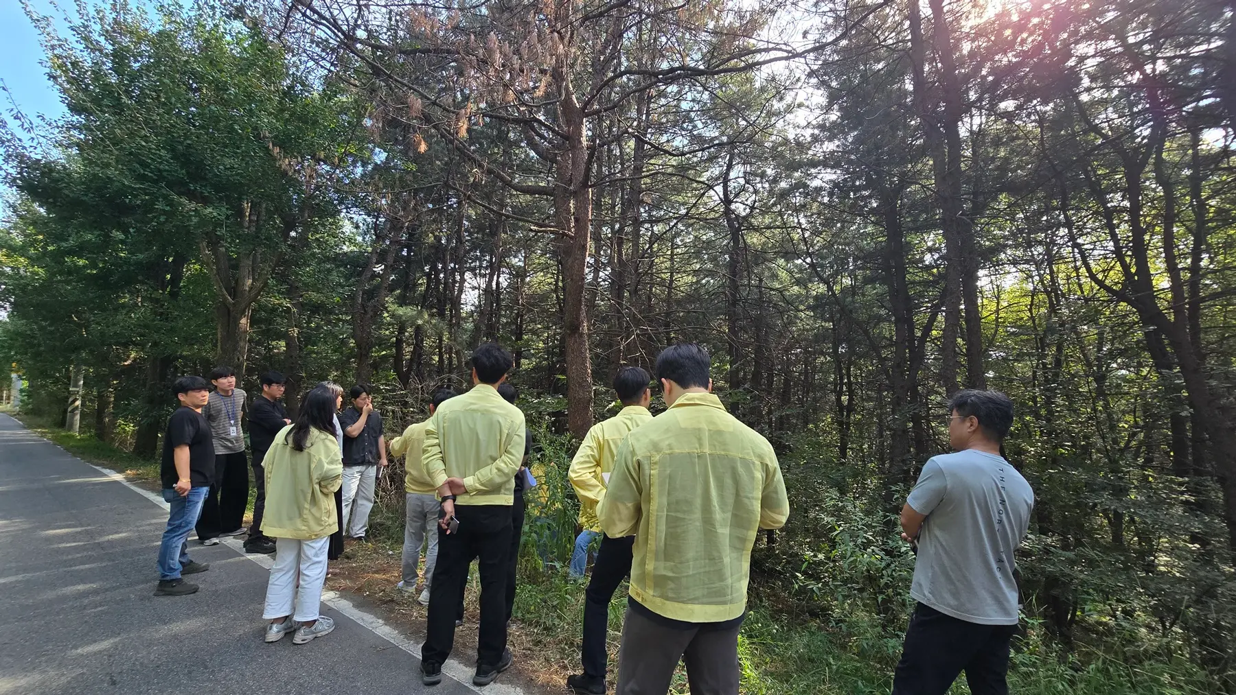 이미지설명