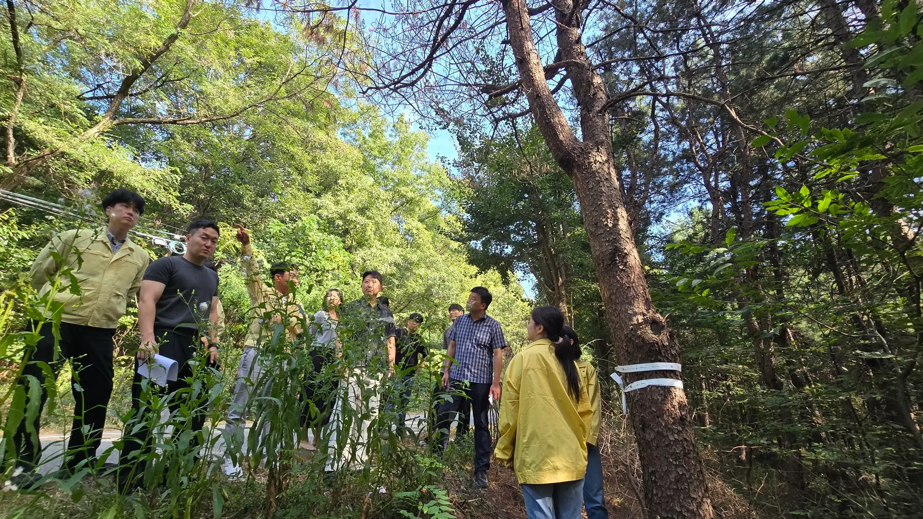 이미지설명