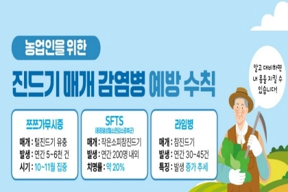벌초‧등산 전 필수 체크!…‘진드기매개감염병’ 예방 및 대처법
