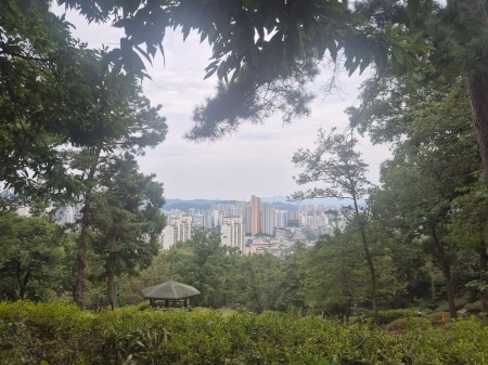 가을바람 따라 걷는 힐링 숲길! 시흥 소래산 산림욕장 탐방기