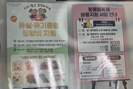 진찰·상담 무료…김포 반려동물 공공진료센터에 가 봤어요