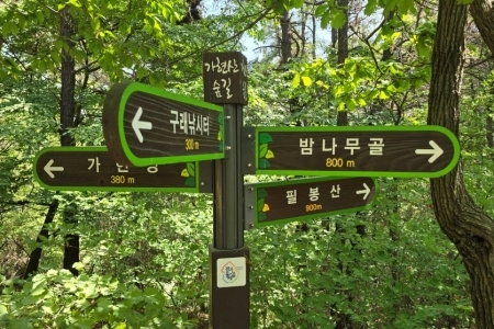 불길 잡고 나무 살리는 우리 동네 숨은 영웅들… 김포시 ‘산림재난대응단’