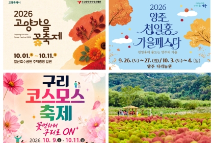 꽃 따라 물드는 가을, 경기도에서 만나는 10월의 풍경