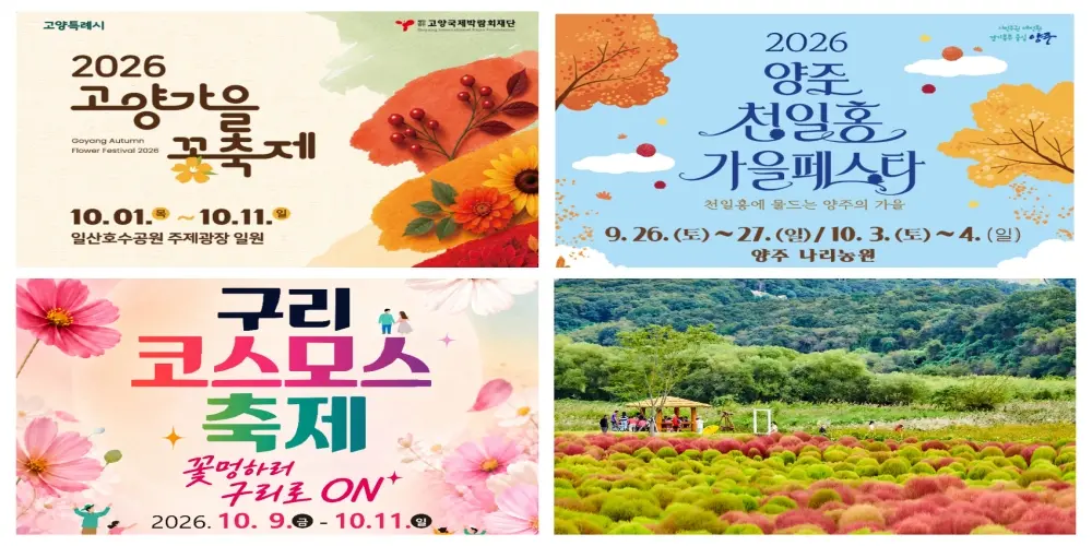 꽃 따라 물드는 가을, 경기도에서 만나는 10월의 풍경