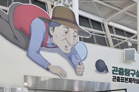 공원에 야생벌 아파트가 있다고?!...국립과천과학관 생태공원