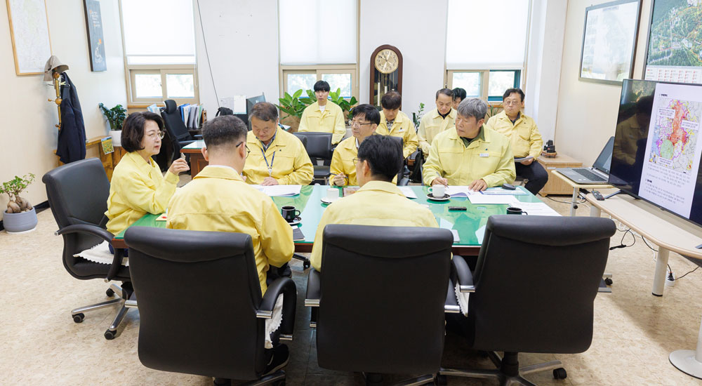 경기도, 소나무재선충병 확산에 총력 대응
