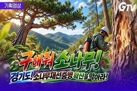  구해줘 소나무! 경기도~ 소나무재선충병 확산을 막아라!