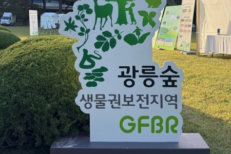 560년 광릉숲의 시간에 스며들다!