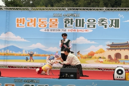 반려견과 함께 뛰고, 배우고, 사랑하는 마음을 나누다!