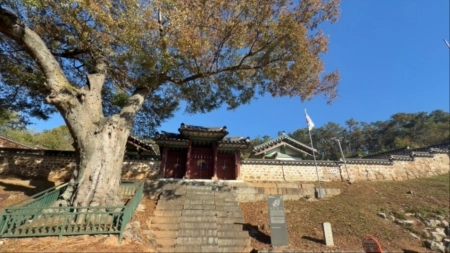 천천히 걸어야 보이는 시간, 김포 통진향교에서 만난 오래된 지혜