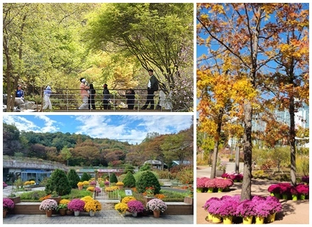 늦가을 단풍놀이, 산림청이 꼽은 경기도 수목원은 어디