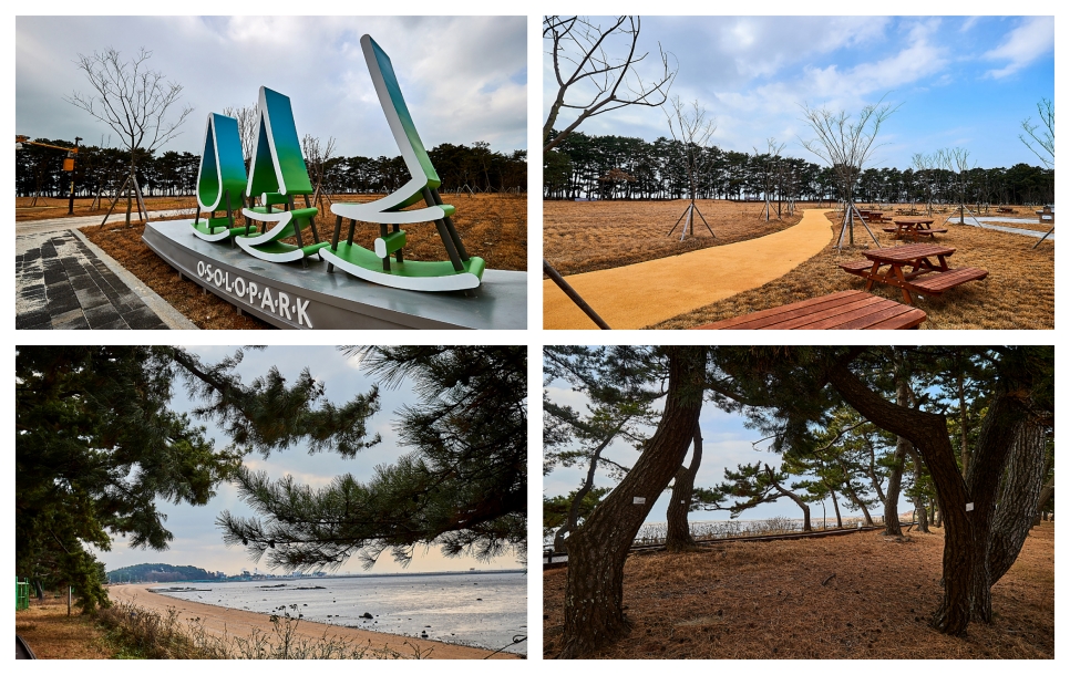 경기뉴스광장 김지호