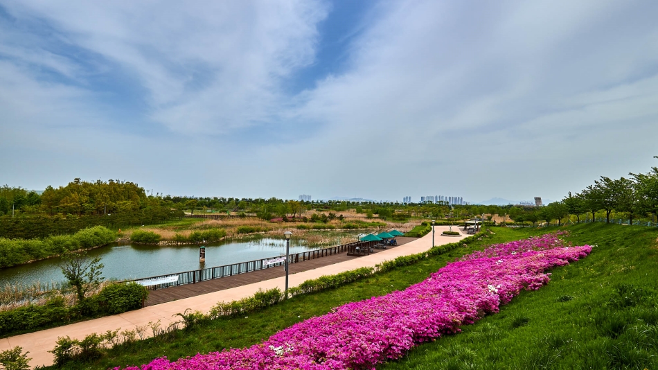 김포한강야생조류생태공원은 생조류 취·서식공간을 보전하고, 생태 체험학습의 장소로 만들어진 공원이다. @ 경기뉴스광장 김지호