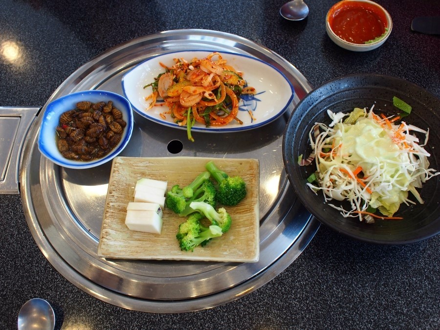 도다리네 사진 2