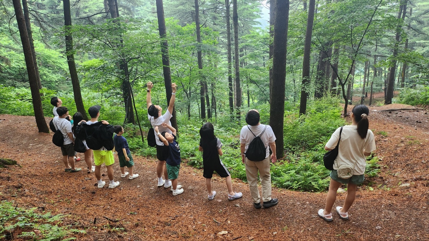 이미지설명