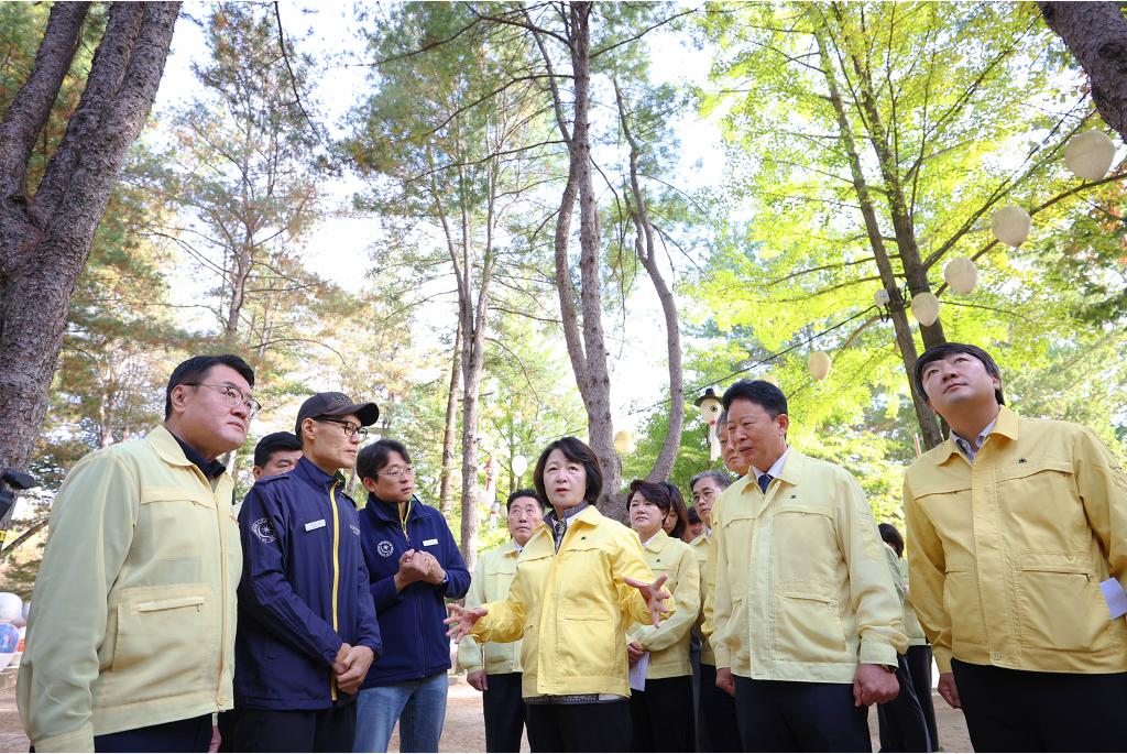 9일 오전 남이섬을 방문한 추미애 경기도지사가 소나무재선충병 방제관련 방제 현장 확인을 하고있다.