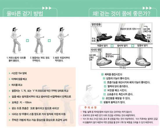 올바른 걷기 방법과 걷기 운동이 좋은 이유