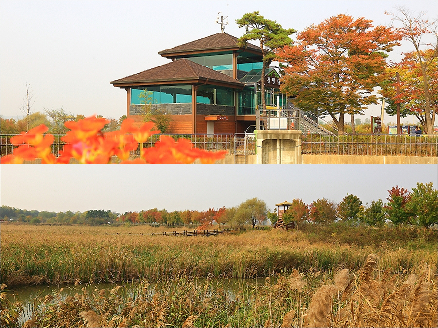 흥미진진한 경기도 31개 시군의 매력을 찾아! - 늦가을의 문턱에서 경기도 화성 편