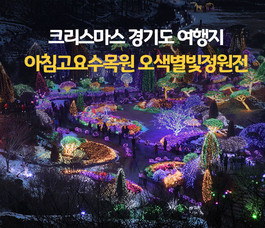 크리스마스 경기도 여행지 아침고요수목원 오색별빛정원전