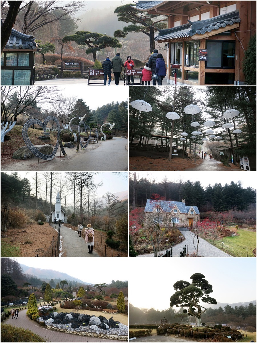 크리스마스 경기도 여행지 아침고요수목원 오색별빛정원전