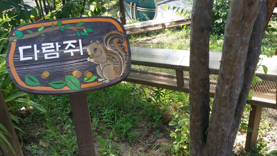 다람쥐는 집뿐만 아니라 동물사를 다 돌아다닐 수 있는 통로를 통해 자유롭게 돌아다닌다. 