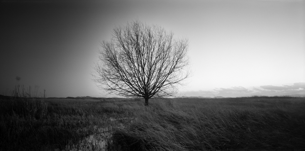 박홍순, 서해안-경기도 화성시 시화호 01, 2009, Gelatin Silver Print, 50.8x61cm.
