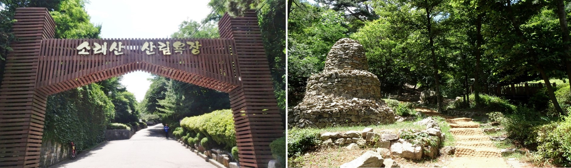 자연 속 힐링쉼터! 시흥 소래산 산림욕장