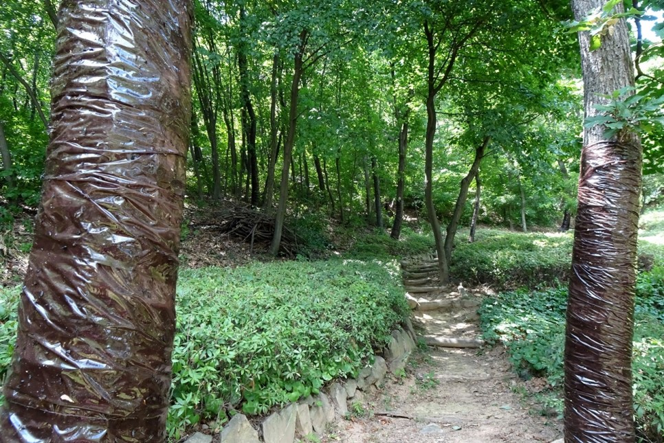 자연 속 힐링쉼터! 시흥 소래산 산림욕장