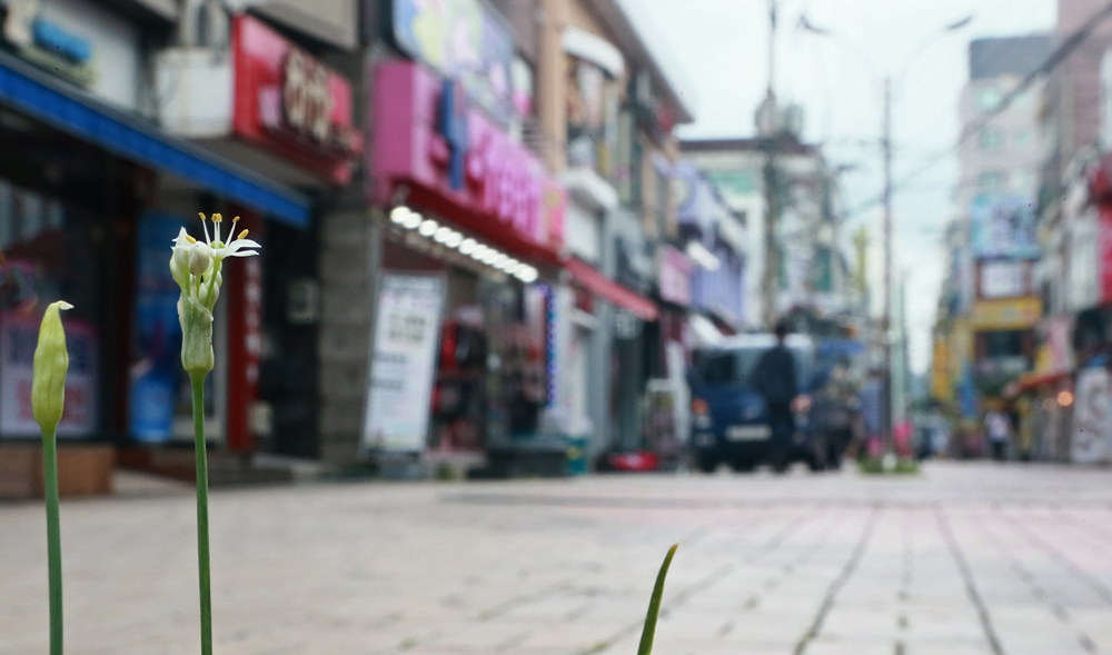 경기도내 코로나19 확진환자의 수가 93명으로 집계되는 등 전대미문의 코로나19 확산으로 골목상권에 대한 경제적 타격이 예상된다. 이 가운데, 경기도 곳곳에서는 고통 받는 소상공인들을 위해 임대료를 낮춰주는 ‘선한 건물주’ 운동이 확산되고 있다. 자료사진.