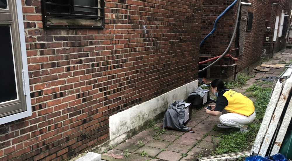 ’길고양이 중성화의 날’은 고양시 성사동에서 4회로 진행됐으며 총 141마리(암컷 78마리, 수컷 63마리)의 길고양이를 중성화했다.