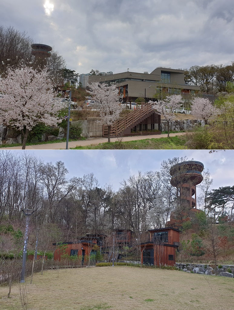 광교푸른숲도서관 전경(위), 푸른숲 책뜰(아래)