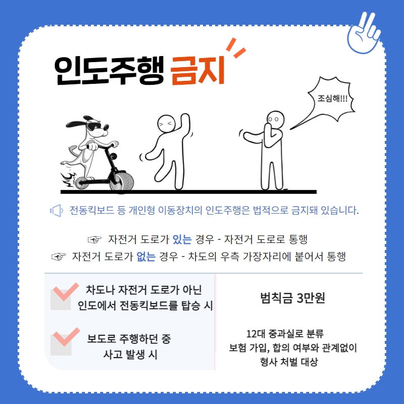 ② 인도주행 금지