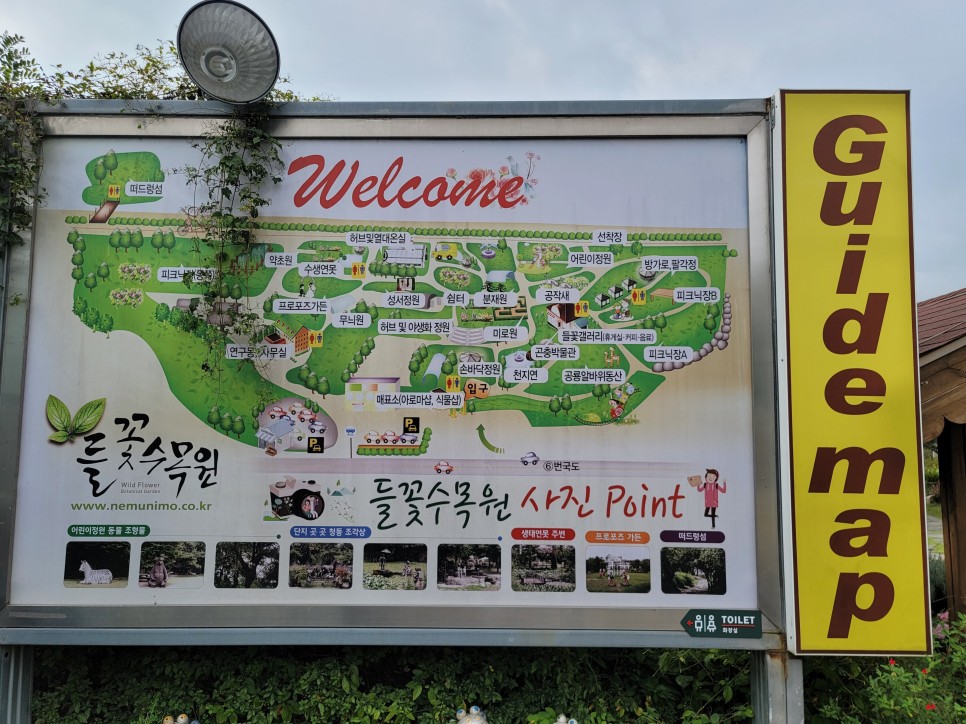 [경기도민기자단] 가을 남한강을 감싸는 아름다운 야생화의 향연! 양평 들꽃수목원