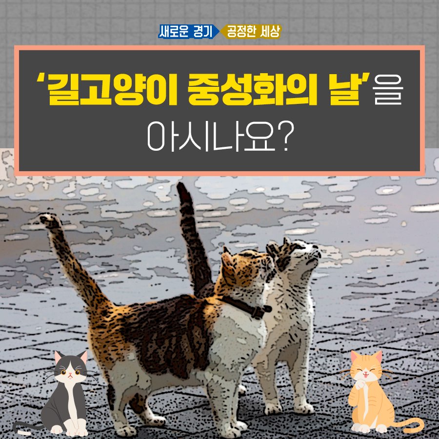경기도가 `길고양이 중성화의 날`을 추진하고 있다.