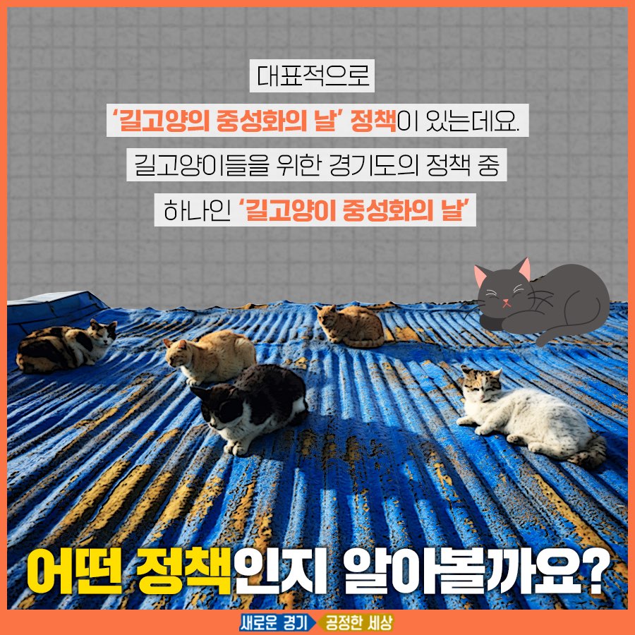 경기도는 길고양이들의 개체 수를 줄이고 사람과의 공존을 위한 정책들을 시행하고 있다.
