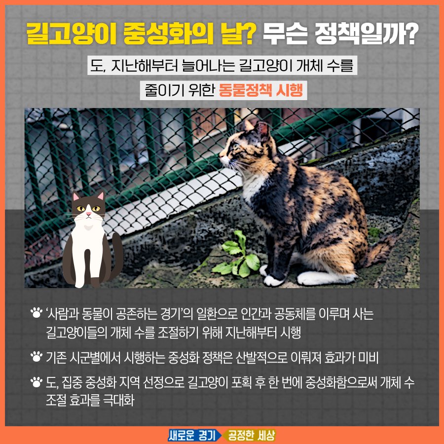 `길고양이 중성화의 날` 정책은 길고양이들을 위한 경기도의 정책 중 가장 대표적인 정책이다.