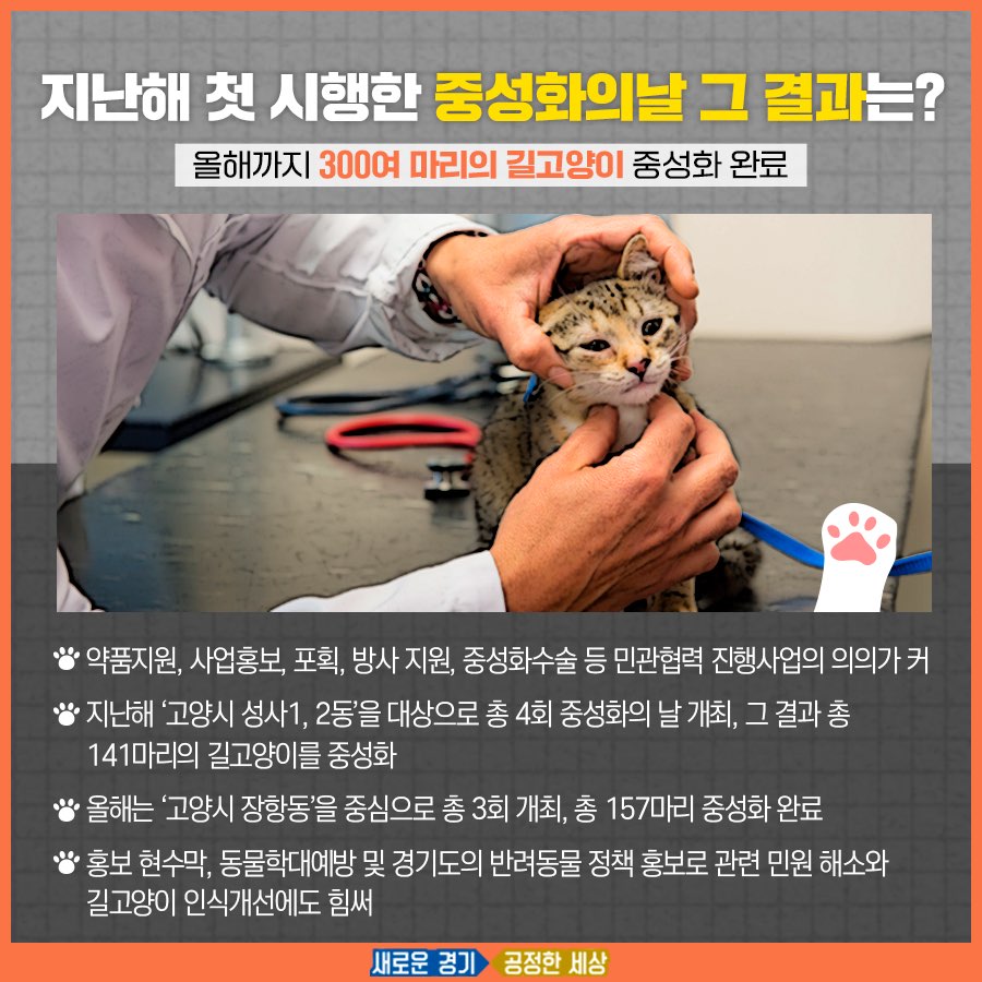지난해 첫 시행한 `길고양이 중성화의 날` 정책은 올해까지 300여 마리의 길고양이를 중성화 했다.