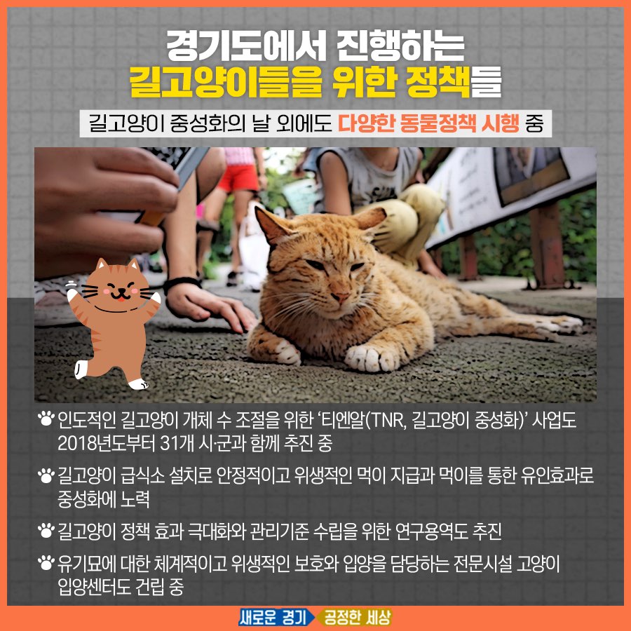 경기도는 길고양이들을 위한 다양한 정책을 시행하고 있다.