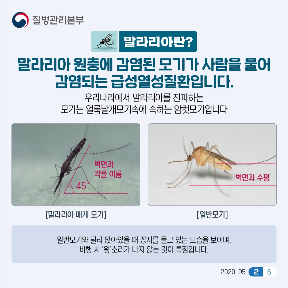 말라리아는 ‘얼룩날개모기’류에 속하는 암컷 모기에 의해 전파되며 고열, 오한, 두통부터 심하면 사망에 이를 수 있는 제3급 법정감염병이다.