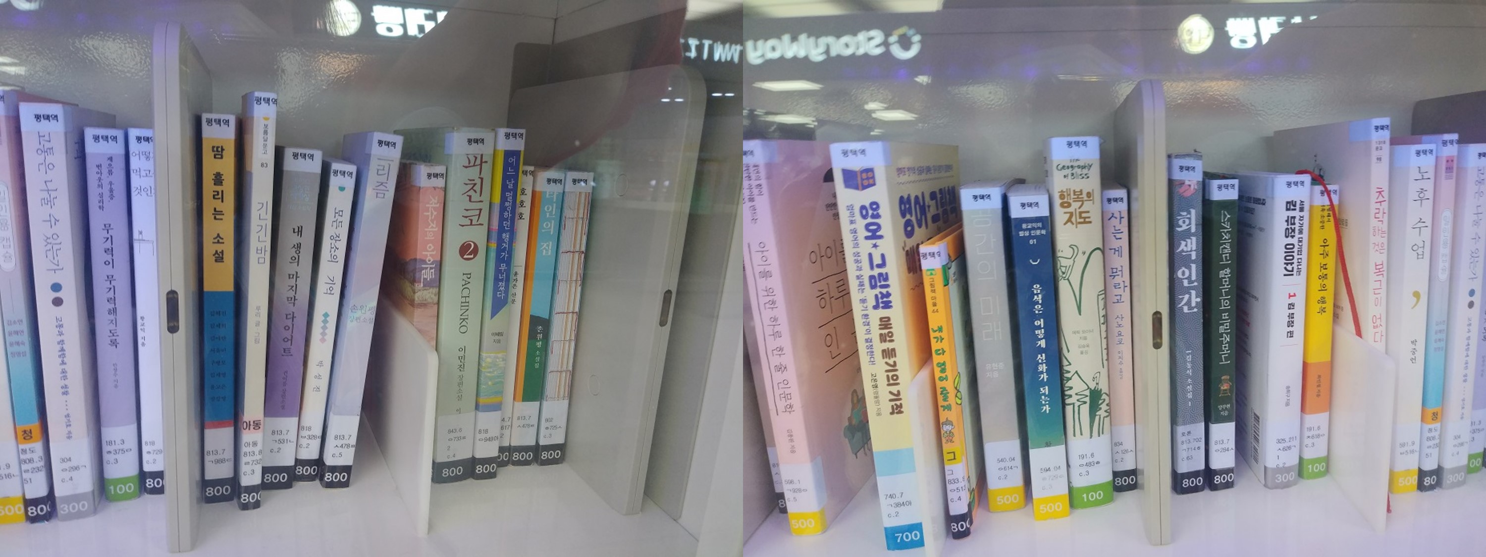 소나무책장