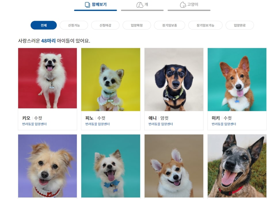 반려동물 입양 지원