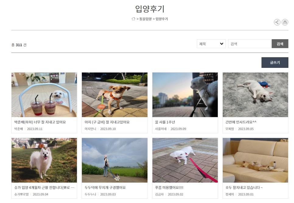 반려동물 입양 후기