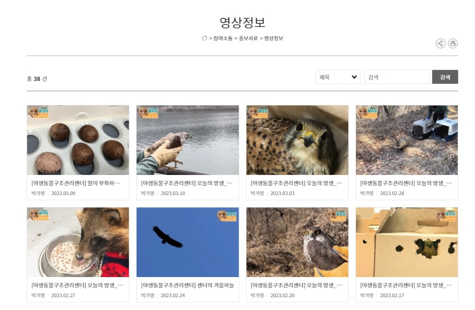 야생동물 관련 영상 정보