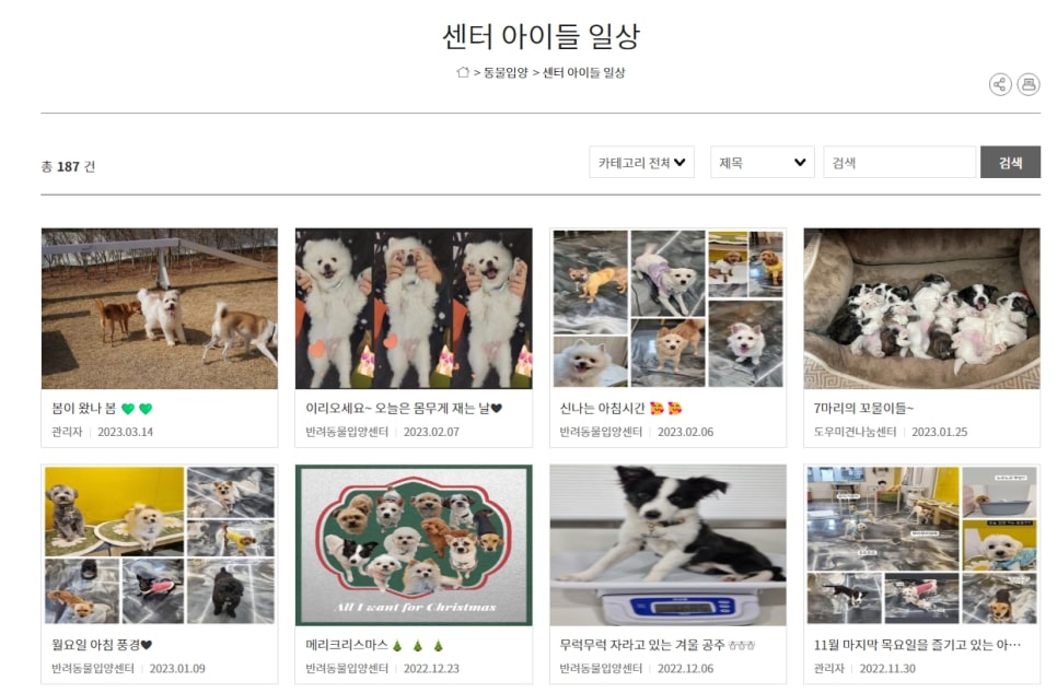 동물보호센터의 일상