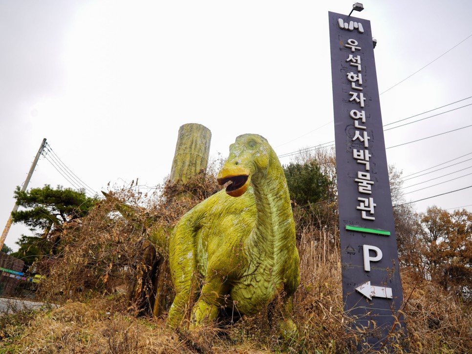 우석헌자연사박물관 간판