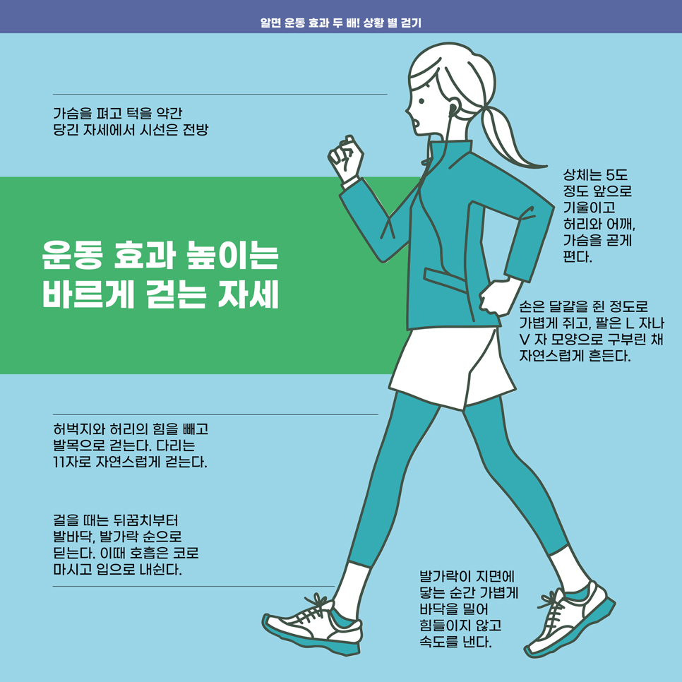운동 효과를 높이는 바르게 걷는 법은 턱을 살짝 땡기고 허리, 어깨, 가슴피기, 상체는 5도 정도 앞으로, 전방주시, 손은 살짝 쥔 상태로 L자 V자로 흔들기, 허벅지와 허리 힘빼고 발목으로 걷기, 11자로 걷기, 뒤꿈치부터 발바닥, 발가락 순으로 걷기, 호흡은 코로 마시고 입으로 뱉기, 발가락이 닿을 때 가볍게 밀며 천천히 속도를 내기 등이 있습니다.