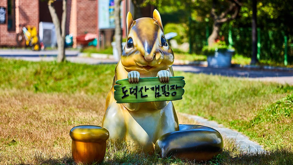 광명 도덕산 캠핑장은 도심과 인접한 숲속 캠핑장으로 유명하다.