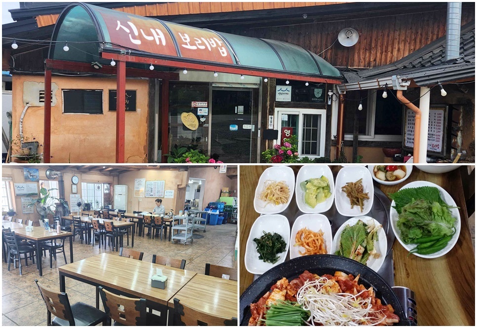 신내보리밥 자료 사진. 
